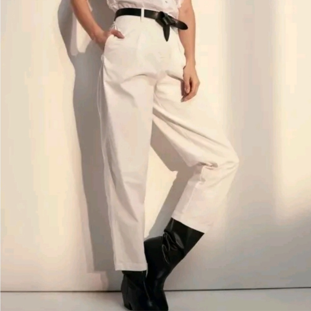 Aritzia / Wilfred Free Day-Off High Waisted Pleated Straight Leg Trousers Pants